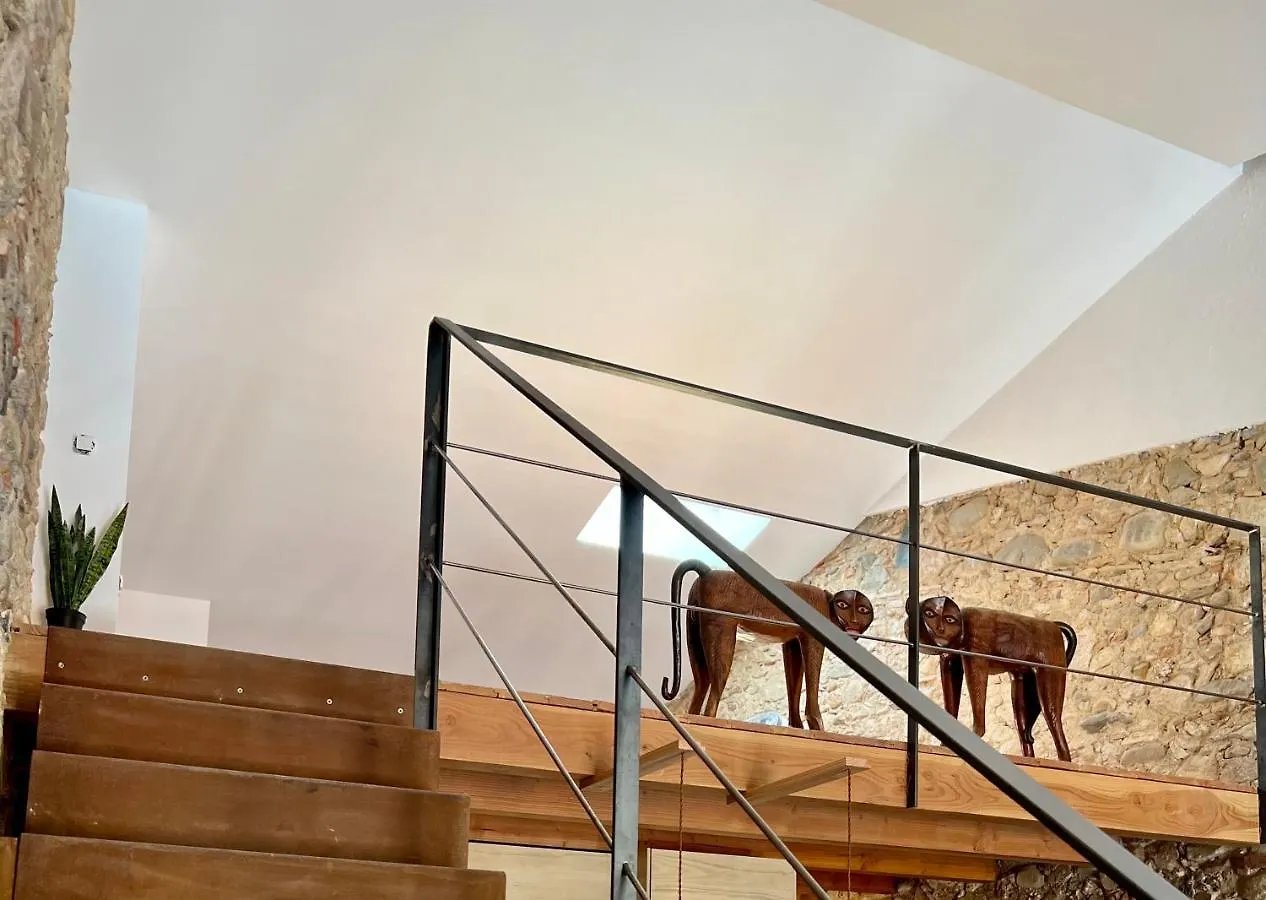 Barri Vell Catedral Apartment Girona