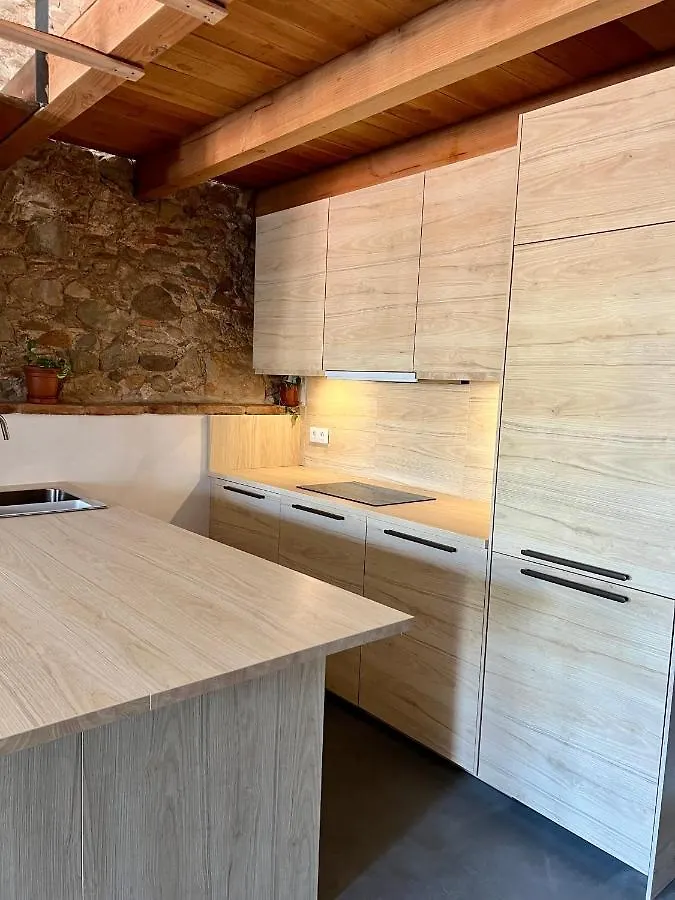 Barri Vell Catedral Apartment Girona